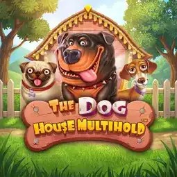 The Dog House Multihold game at TCL99 Casino for Australia players The Dog House Multihold game at TCL99 Casino for Australia players